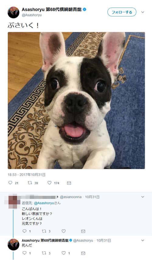 大相撲 朝青龍のプロフィールを紹介 大記録を打ち立てた角界の暴れん坊 スモウ好きっス宣言